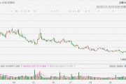 Spirit Airlines一度暴跌37%，傳正與債券持有人討論潛在破產(chǎn)申請條款
