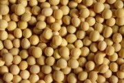 如何科學(xué)應(yīng)對大豆相關(guān)期貨問題？大豆長勢對期貨有何關(guān)聯(lián)？
