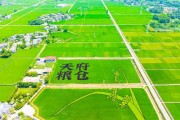 都江堰灌區(qū)：守護“天府糧倉”的水命脈