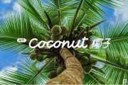 面向未來十年，NT.Coconut 椰子 樂道智能系統(tǒng)正式發(fā)布