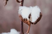 如何科學(xué)分析期貨交易圖形的分時情況？分時情況對交易有何指導(dǎo)意義？