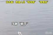 西湖驚現女子"躺平式"求救，救援人員迅速反應成功施救