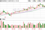 威奧股份：宿青燕累計(jì)質(zhì)押公司股份數(shù)量為6550萬股