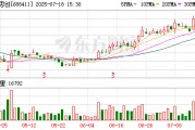 海博思創(chuàng)：約228.41萬(wàn)股限售股7月28日解禁