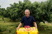 主動“慢”下來的拼多多，探索長期主義的新范式