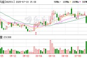 天順風能：公司陸海業務結構調整已初步成效，目前負債風險可控