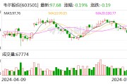 韋爾股份：預計2024年上半年凈利13.08億元-14.08億元 同比增長754.11%-819.42%
