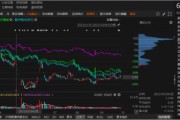 ST南衛資金占用已被處罰，符合條件的投資者務必關注！