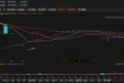 中孚環(huán)境資金占用曝光！散戶和定增投資者均可索賠