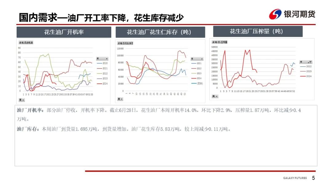 【花生周報】東北產區花生止跌反彈  盤面底部反彈