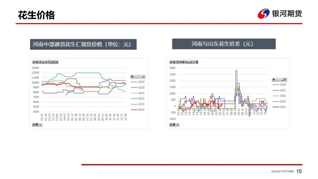 【花生周報】東北產區花生止跌反彈  盤面底部反彈