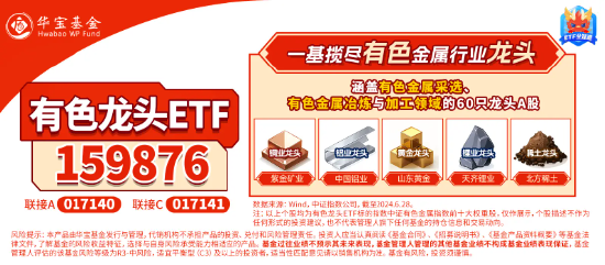 業(yè)績“點(diǎn)贊”！洛陽鉬業(yè)歸母凈利預(yù)增6-7倍，黃金個(gè)股業(yè)績預(yù)喜，有色龍頭ETF（159876）盤中逆市上探1.57%