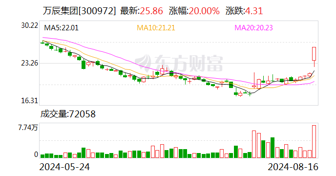 萬辰集團(tuán)：量販零食門店突破6600家 Q2凈利率環(huán)比微增|財(cái)報(bào)解讀