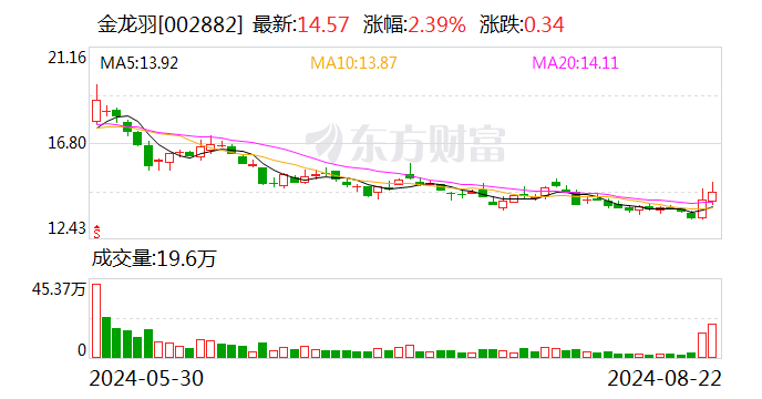 注意！金龍羽將于9月9日召開股東大會