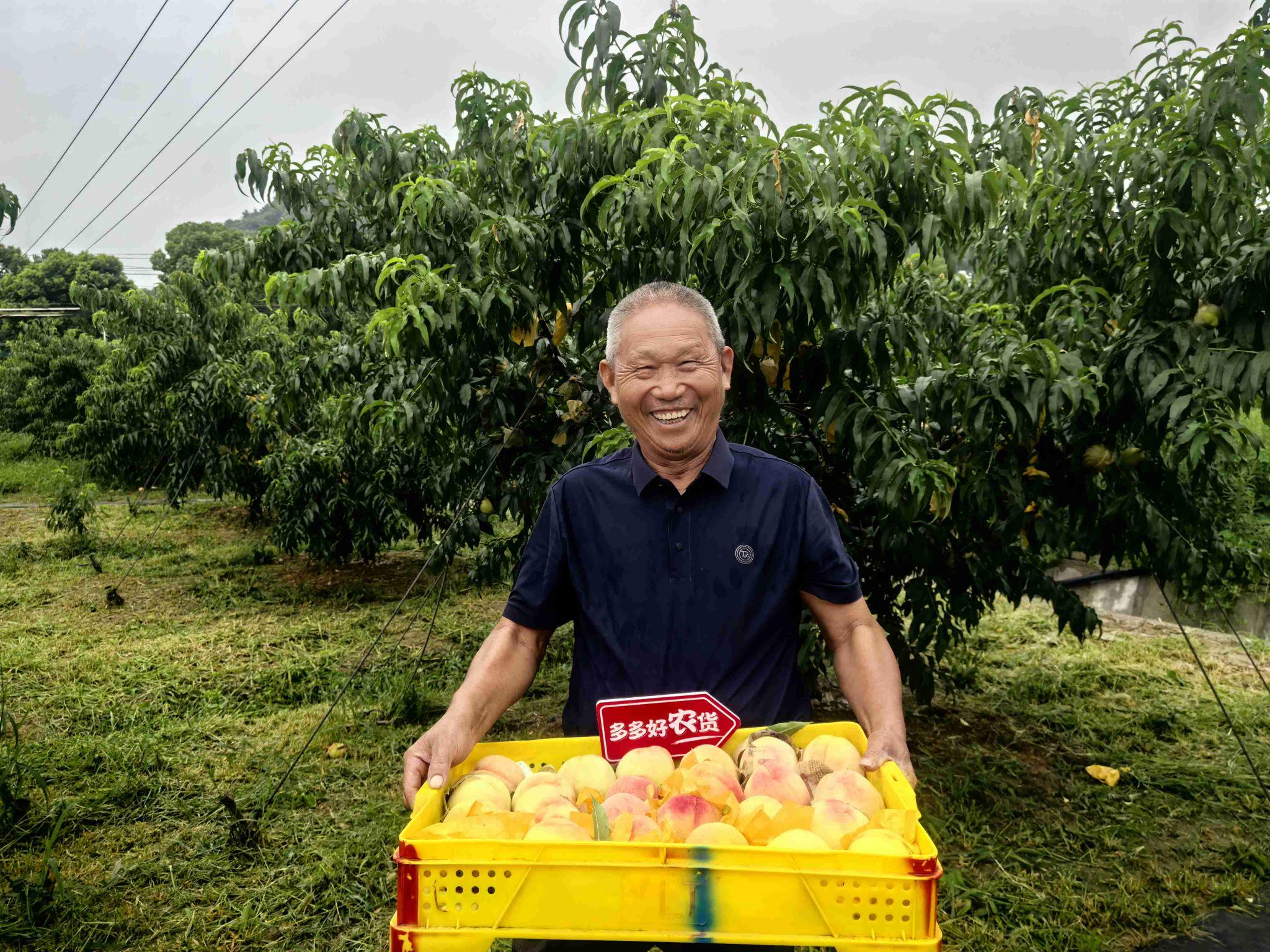 主動“慢”下來的拼多多，探索長期主義的新范式