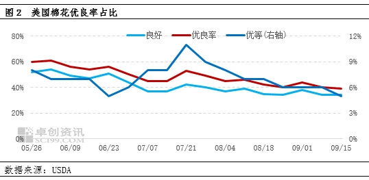 USDA棉花報(bào)告利多，降息再為美棉市場(chǎng)加把火