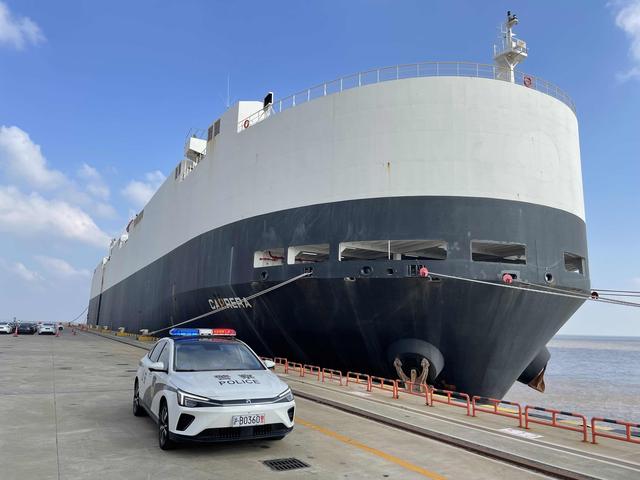 中國制造的特斯拉電動車出口數量破百萬