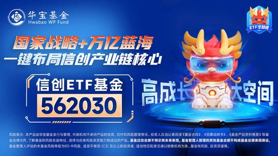 人生能有幾回搏！最高層發(fā)言提振市場信心！信創(chuàng)ETF基金（562030）猛拉8%，海光信息漲逾11%