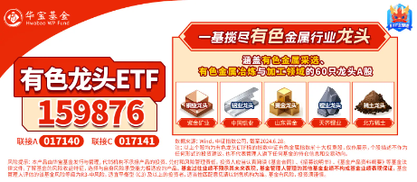 黃金強勢歸來？時隔半年，央行再次出手增持黃金！有色龍頭ETF（159876）盤中漲超1．1%，釩鈦股份漲停封板