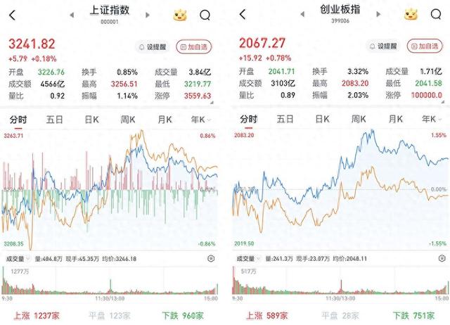 A股低開高走震蕩收漲：半導體全線走強，小紅書概念大幅回調